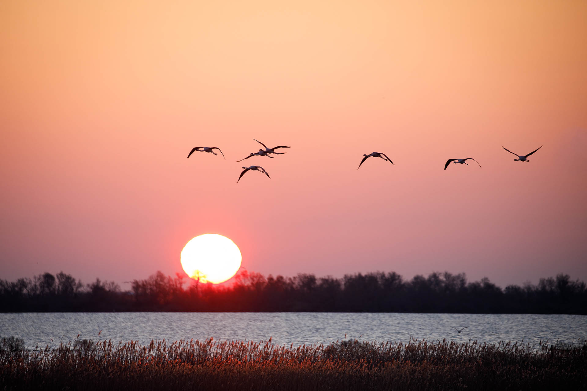 Accès exclusif au lever du soleil