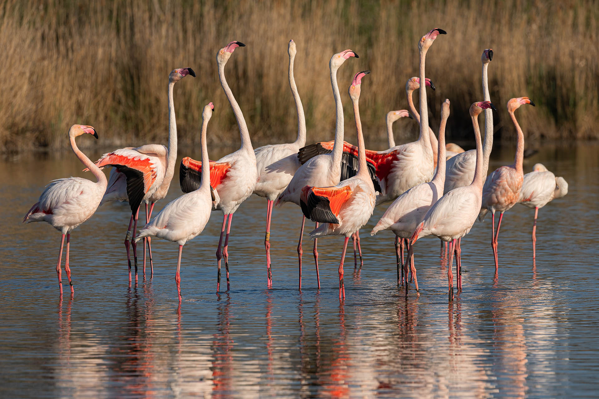 Ateliers Initiation photo débutant - REPORTÉ