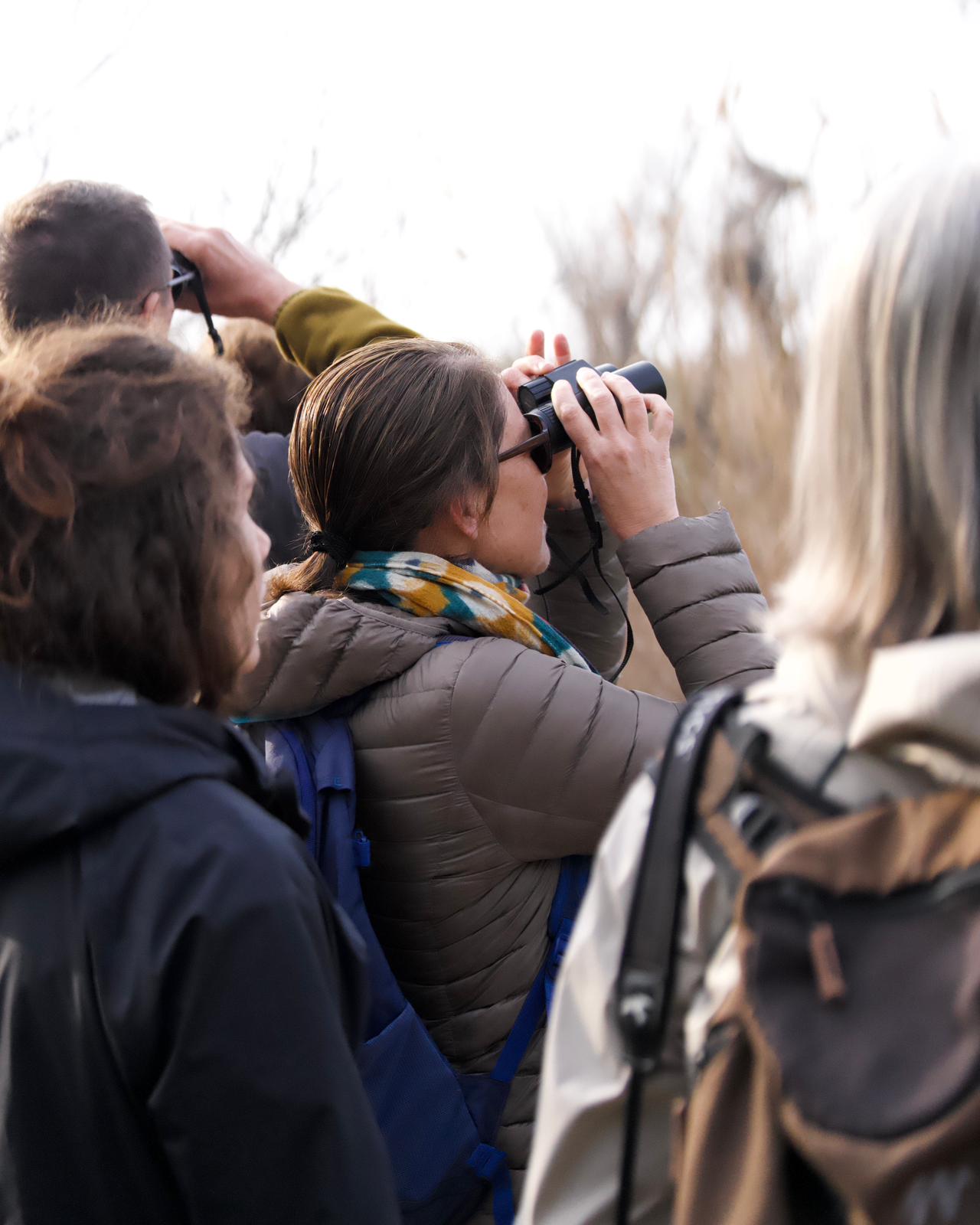 Formation Passereaux
