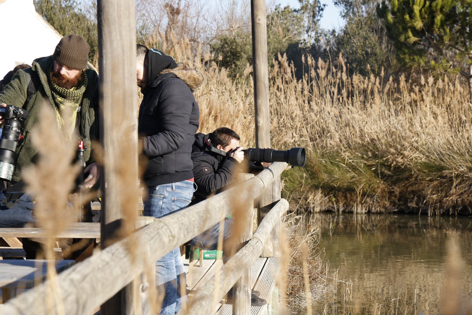 Forum des marques photo