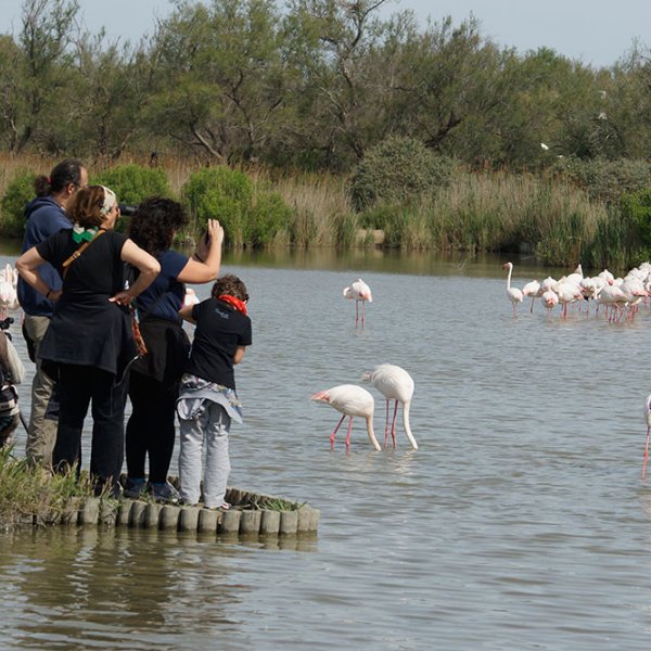 Une proximité unique