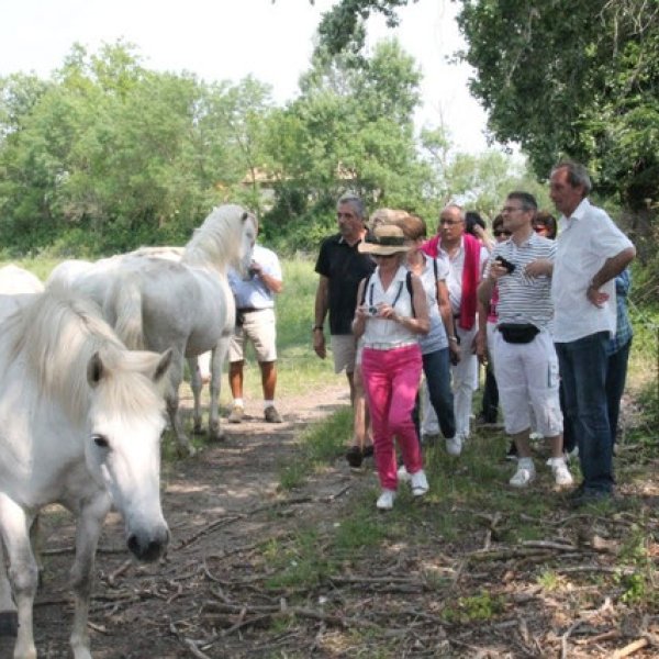 Visite de l'élevage