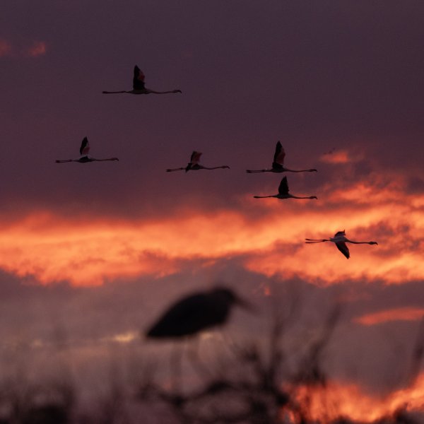 Coucher de soleil